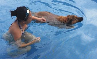 true love Villa