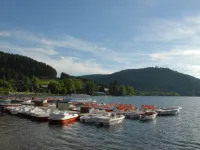 Hôtel de La Paix Hotels in Gerardmer