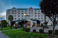 Courtyard San Francisco Airport Burlingame 벌링게임 호텔