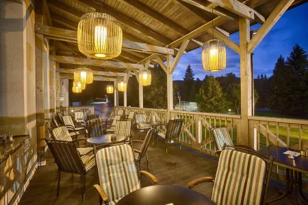 Hotel Pod Lipou Resort Отели в г. Сенец