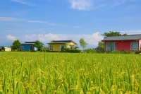 An Ti Li Ya Homestay
