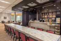 The Summit Hotel - bar