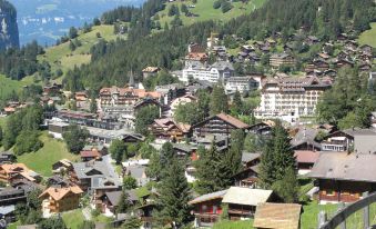 Guest Rooms with a Great View at Residence Brunner