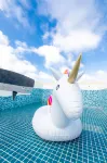Kiwi Villa - Pools