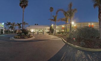 a nighttime view of a building with palm trees , lights , and people walking in front of it at Dream Inn Santa Cruz