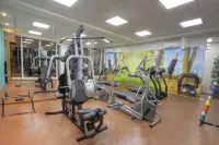 Bristol Portal do Iguaçu Curitiba Aeroporto - Gym