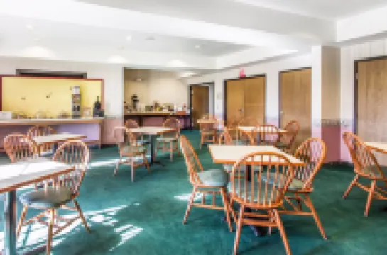 퀄리티 인 카디즈