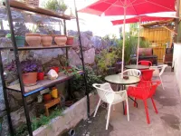 Casa Volante Hostal Hotels in 