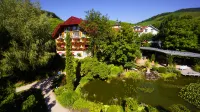 Hotel Rebstock Durbach
