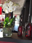 SoBlue Hôtel - bar