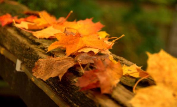 Hotel Saltenhof - Housity