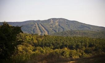 a mountain with a ski slope at the top , surrounded by trees and other vegetation at Dexter's Inn