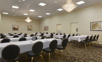 Park Inn by Radisson Sharon