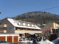 Hotel Koch فنادق في Calw