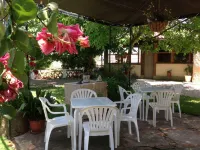 Casa Rural del Corral - Apartments