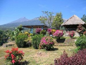 Pondok Senaru Cottages