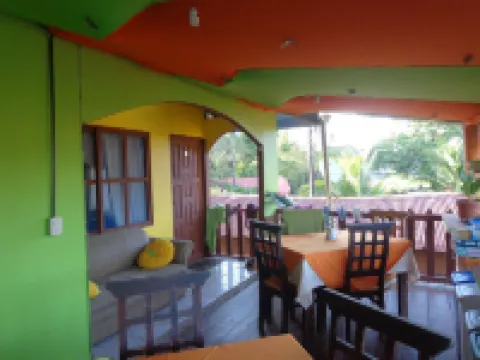 Cabinas Tortuguero Natural