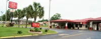 Red Carpet Inn - Natchez