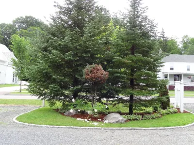 Williston Village Inn Hotels in 