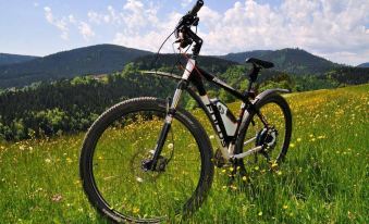 Schwarzwaldhotel Klumpp