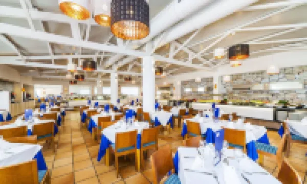 Globales Bouganvilla