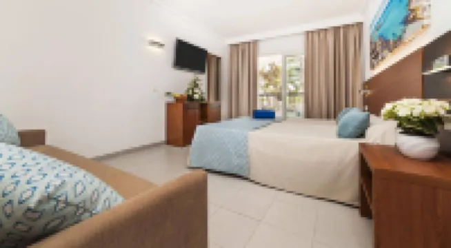 Globales Bouganvilla