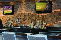 Marriott's Desert Springs Villas I - bar