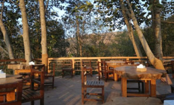 Bunjungle Adventures - Housity