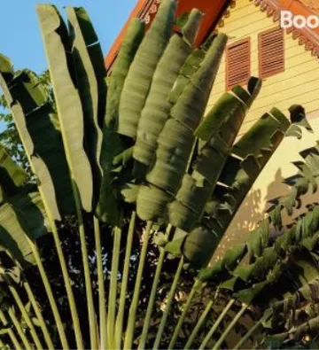 รูปภาพของไทยดี การ์เด้น รีสอร์ท