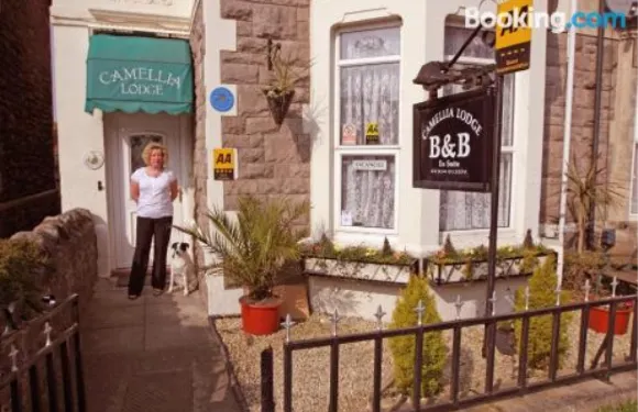 茶花住宿加早餐旅館