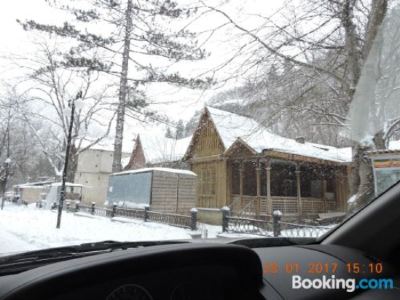 Borjomi Central Park Apartment