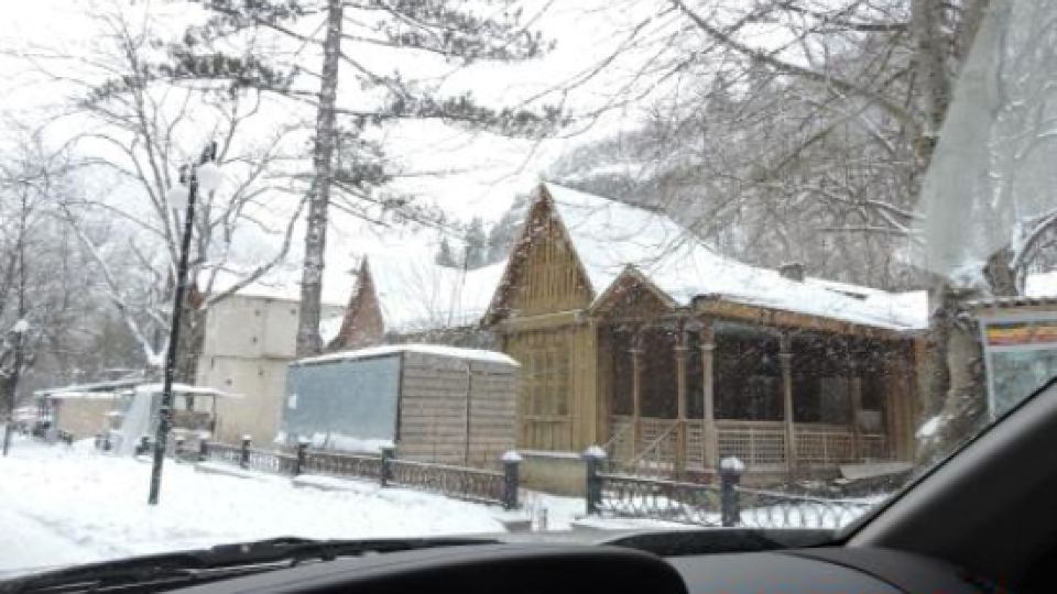 Borjomi Central Park Apartment