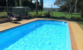 a large swimming pool with a wooden deck and lounge chairs in the foreground , surrounded by palm trees and grass at Moruya Motel