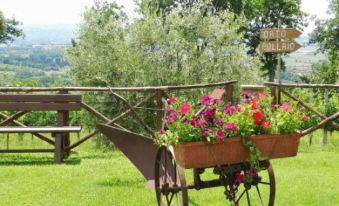 Agriturismo la Rocca Assisi