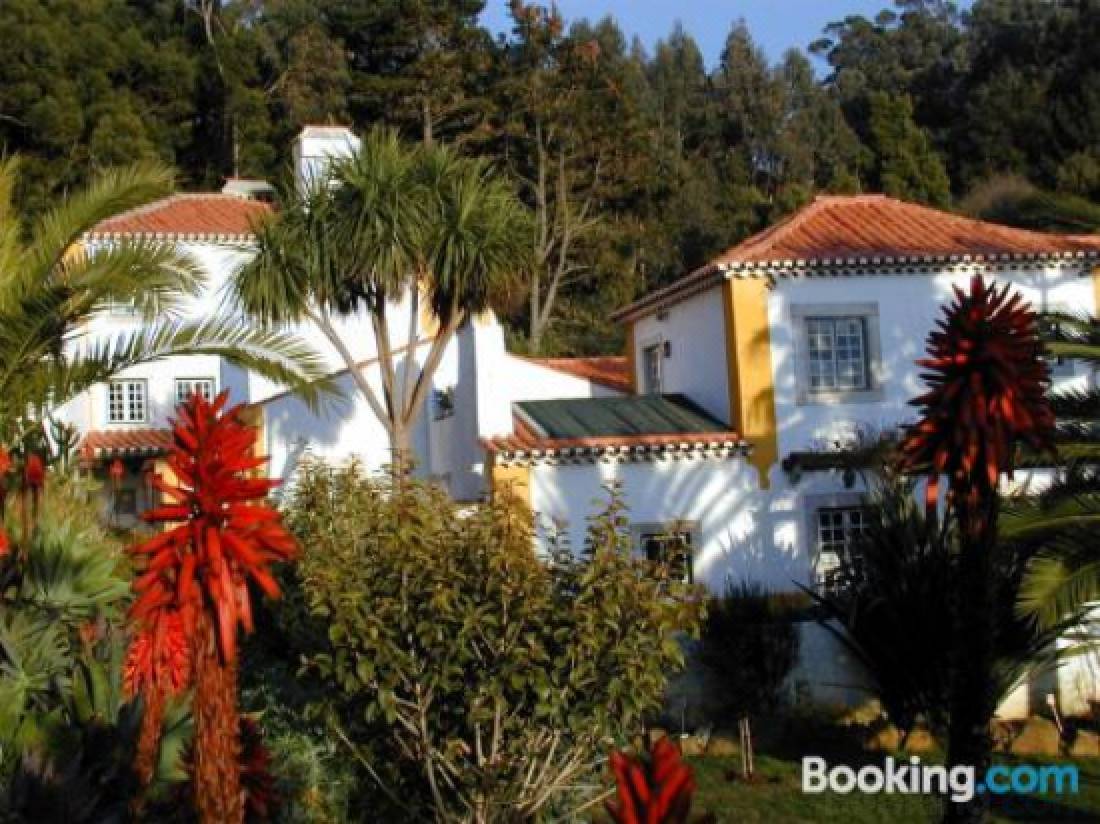 Quinta do Rio Touro-Colares Updated 2022 Room Price-Reviews & Deals |  Trip.com