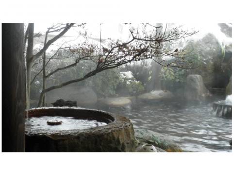 湯屋温泉 炭酸泉の宿 泉岳舘 下呂 宿泊予約 安い料金プラン 口コミ 部屋写真 Trip Com