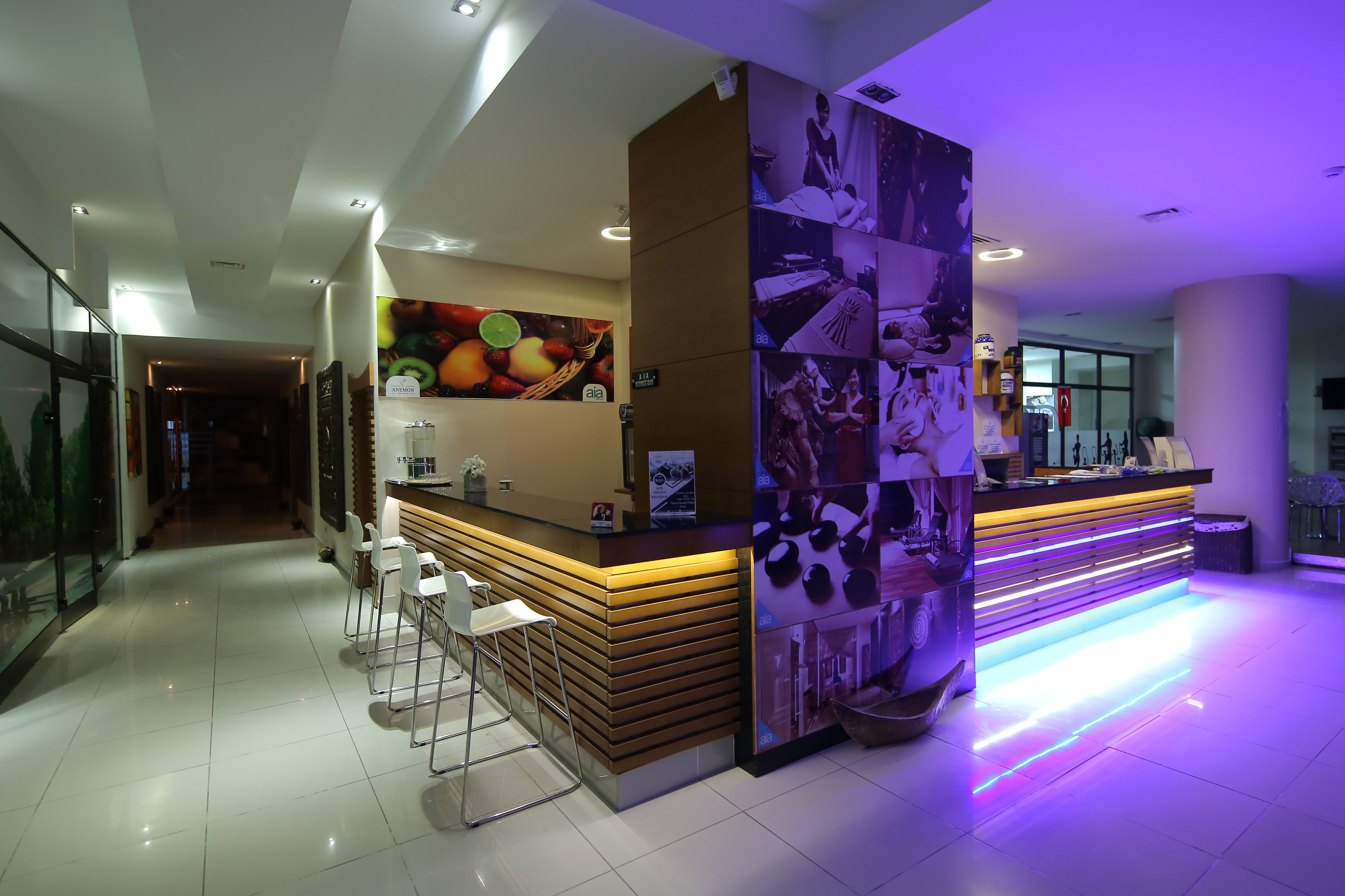 Hotel Anemon Eskisehir