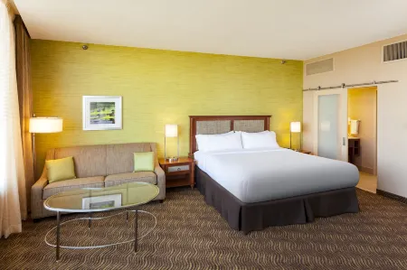 Holiday Inn Austin -Town Lake, an IHG Hotel