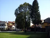 Hotel la Contrada Hotel a Laveno-Mombello