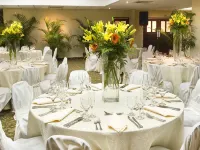 Radisson Hotel Santo Domingo Hotels near CEDIMAT