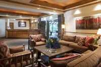 Stonebridge Inn Hotels in Pitkin County