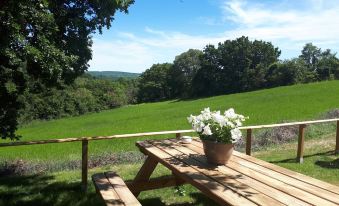 La Maison de la Louette Chambres d'Hotes - Housity