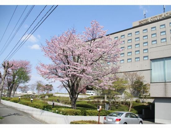 光の北上駅観光案内所 東北本線 周辺のホテル 22おすすめ旅館 宿 Trip Com