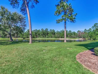 Surroundings #4B True Blue - 2 Br Condo by RedAwning Photo