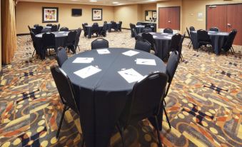 Holiday Inn Express & Suites Denton-UNT-Twu