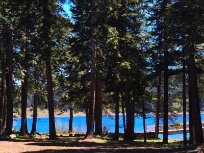 Surroundings #51 & #52 Hyatt Lake Compound~Sleeps 10~Lake View Photo