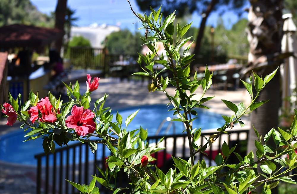 Symbola Oludeniz Beach Hotel