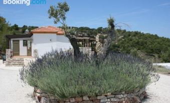 Auberge Kalopetri