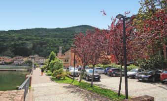 a city street with cars parked on the side , trees lining the sidewalk , and mountains in the background at Franco