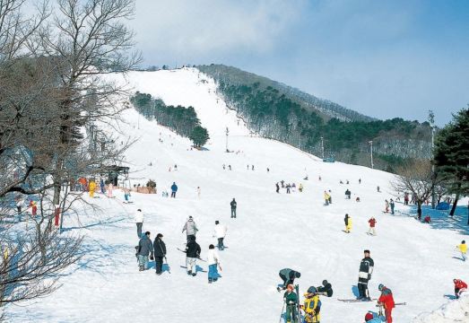 2. 호텔 그린 아버..